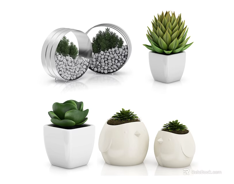 White Ceramic And Metal Planters With Succulent Plants In Different Shapes And Pebbles 3d model 