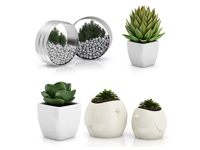 White Ceramic And Metal Planters With Succulent Plants In Different Shapes And Pebbles 3d model