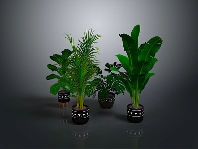Green Indoor Plants with Various Large Leaf Types in Black Pots with White Decorative Patterns 3d model
