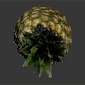 Fresh golden pineapple with green leaf crown on black reflective surface 3d model