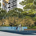 Outdoor Garden Landscape Design With Children's Playground Blue Ground Climbing Nets And Trees