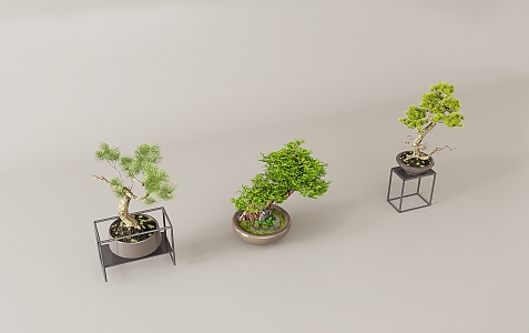 New Chinese Potted Plant 3d model