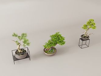 New Chinese Potted Plant 3d model