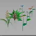 Various Colorful Plants With Diverse Shaped Leaves And Flowers Against Dark Background With Reflections