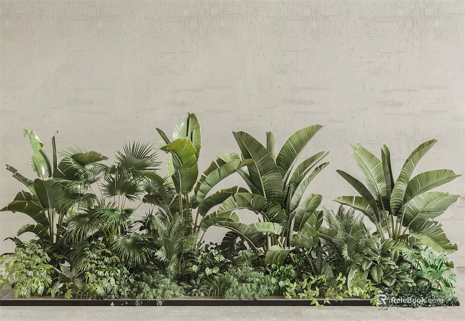 Lush Green Tropical Plants With Banana Leaves And Palm Fronds Against Light Beige Wall 3d model 