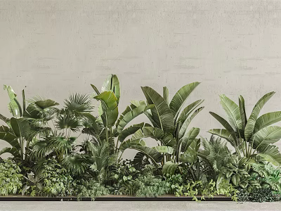 Lush Green Tropical Plants With Banana Leaves And Palm Fronds Against Light Beige Wall 3d model