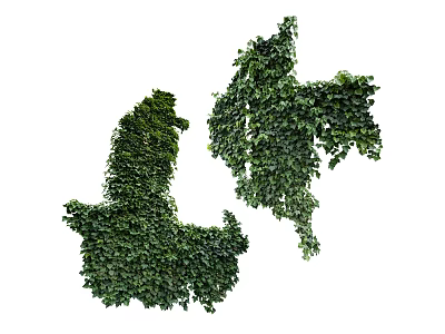 Lush Green Ivy Vines With Dense Leaves And Natural Climbing Patterns 3d model