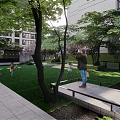 Elegant Pergola Design In Garden With Trees Water Features And Stone Pathway