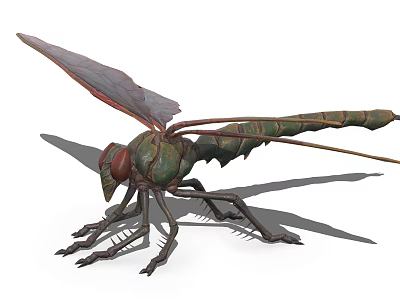 Realistic Green Dragonfly With Red Eyes Transparent Wings Long Abdomen And Multiple Legs 3d model