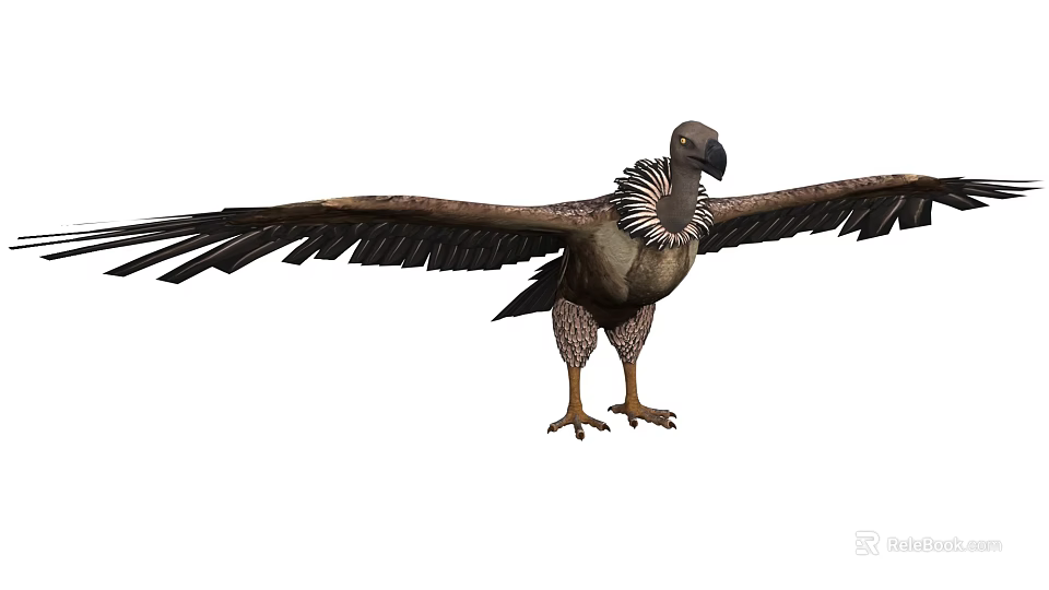 Majestic Vulture With Spread Wings And Neck Feathers Standing Tall 3d model 