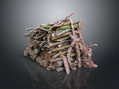 Natural Stacked Wood And Stone Materials For Construction And Decorative Use 3d model