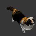 Realistic Calico Cat With White Black Brown Fur Standing On Green Background