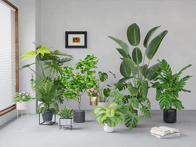 Lush Indoor Hanging Plants With Green Foliage And Modern Home Decor Accents 3d model