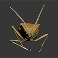 Detailed Orange Yellow Mantis With Long Legs On Dark Reflective Background