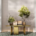 Elegant Modern Console Table With Potted Plants Books And Decorative Vases 3d model