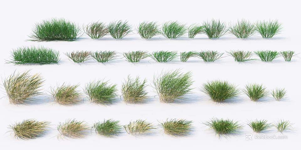 Various Grass Plants With Different Growth Forms And Natural Green Hues 3d model 