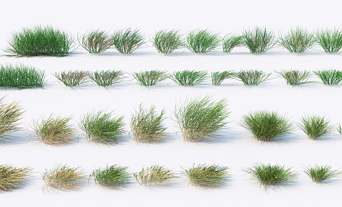 Modern grass combination 3d model