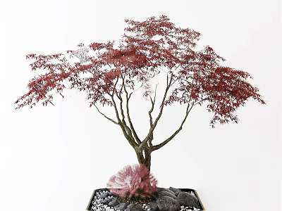 Bonsai Plant With Red Leaves Brown Trunk And Pink Decorative Stones 3d model