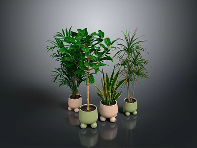 Different Green Plants In Decorative Pots With Small Feet On Reflective Gray Background 3d model