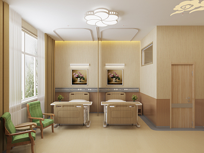 Modern Nursing Home Nursing Home Accommodation Room model