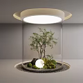 Indoor Landscape With Transparent Glass Enclosure Small Tree Green Plants Stones And Circular Ceiling Light