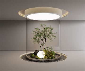 Modern Plant Courtyard Sparkies Plant Pile Stone Pebbles Moss Indoor Landscape Green Planting 3d model