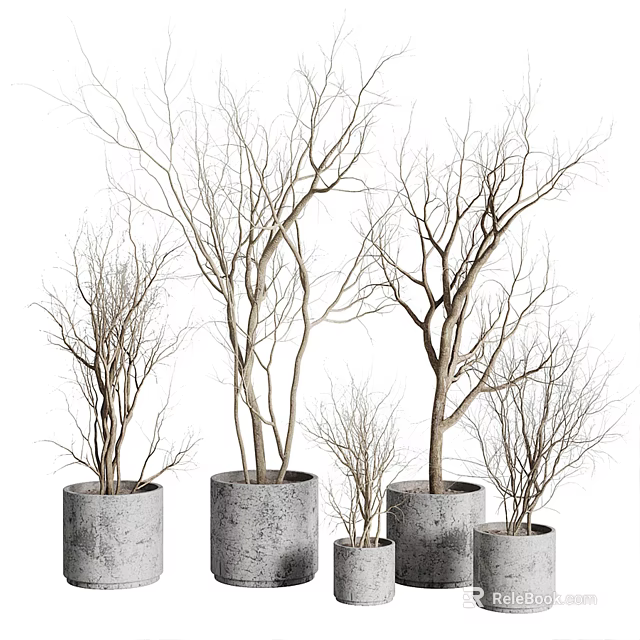Decorative Bare Branch Bonsai Plants In Concrete Pots Of Various Sizes 3d model 