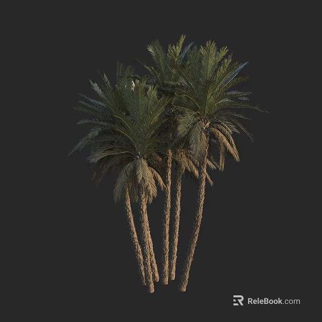 Lush Palm Trees With Tall Trunks And Green Fronds Against Dark Background 3d model 
