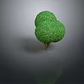 Decorative Green Plant with Two Round Canopies and Brown Trunk Isolated on Gray Background