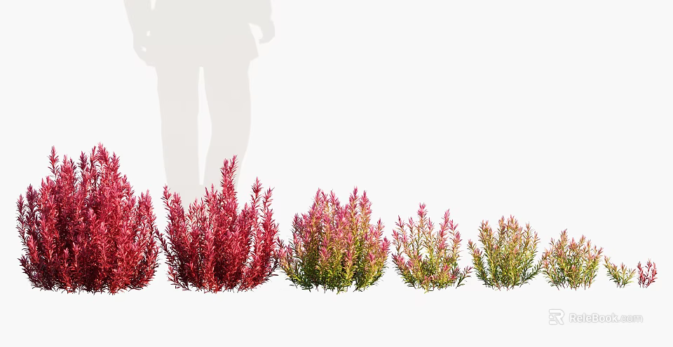 Colorful Shrubs In Various Hues Arranged In A Row For Garden Decoration 3d model 