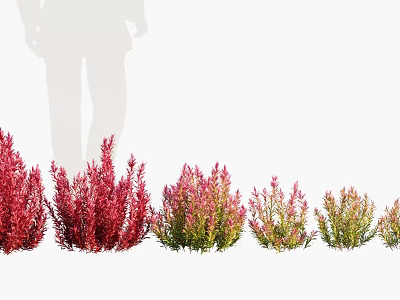 Colorful Shrubs In Various Hues Arranged In A Row For Garden Decoration 3d model