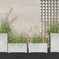 Reed Plant Combination Flower Box Potted Plant Pile Setaria 3d model