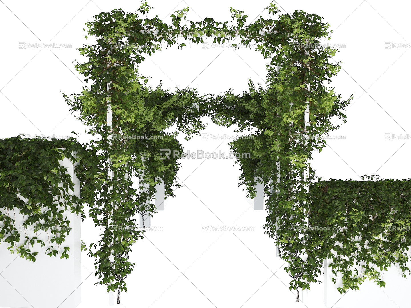 Modern Vine Vine Creeper 3d model