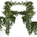 Modern Vine Vine Creeper 3d model