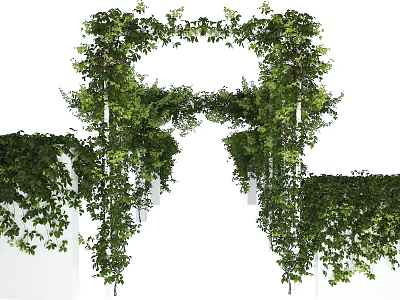 Lush Green Vine Arch Decoration With Hanging Leaves And Foliage For Garden Wedding 3d model