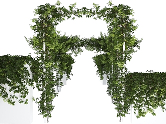 Modern Vine Creeper 3d model