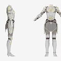 Elaborate Silver And Gold Accented Armor With Armored Sleeves And Leg Protection