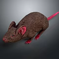 Realistic Brown Fur Mouse Character Model With Pink Ears Tail And Paws