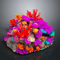 Vibrant Coral Shaped Flowers with Red Orange Purple Blue Hues on Dark Background