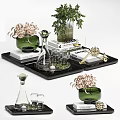 Elegant Decorative Ornament Set Featuring Green Vases Plants Books And Trays