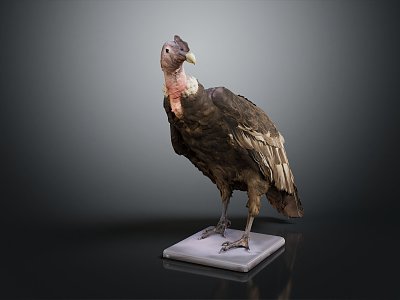 Sculpture of modern vulture 3d model