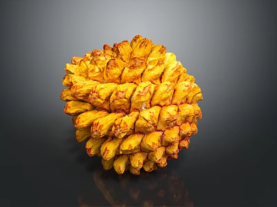 Yellow Spiky Tropical Fruit With Red Edges On Dark Reflective Background 3d model