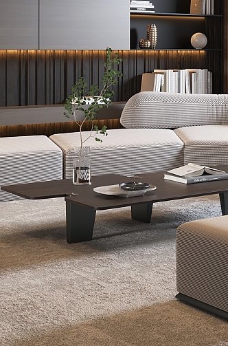 Minotti Sofa Coffee Table Combination Living Room Bookcase Casual Chair Floor Lamp Coffee Table 3d model