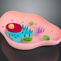 eukaryotic cell cross section cell cell structure cell tissue anatomy organ human organ 3d model