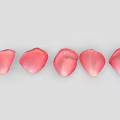 Five Pink Rose Petals Arranged in a Row on Light Gray Background 3d model