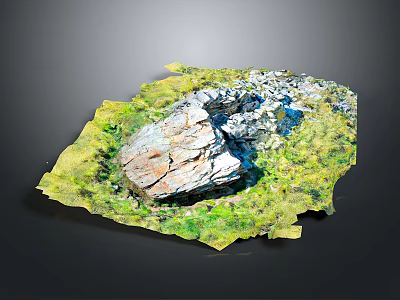 Wood Stone Natural Landscape 3D Model with Green Vegetation and Rock Texture 3d model