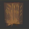 Golden Wheat Ears as Food Ingredient With Dark Background and Reflective Surface