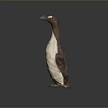Penguin Figurine With Brown Head White Body And Yellow Feet Standing On Dark Background