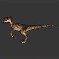 Velociraptor Dinosaur With Brown Yellow Skin Open Mouth Sharp Teeth Standing On Grey Gradient Background