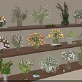 Decorative Flower Vases On Wooden Shelves With Various Blooms And Arrangements